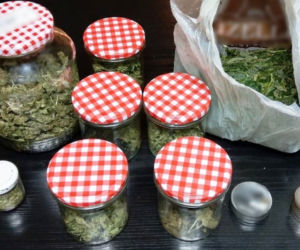 Kryminalni zabezpieczyli ponad 4 kilogramy marihuany