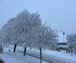 Śnieżna zima w Warszawie - zdjęcia czytelników