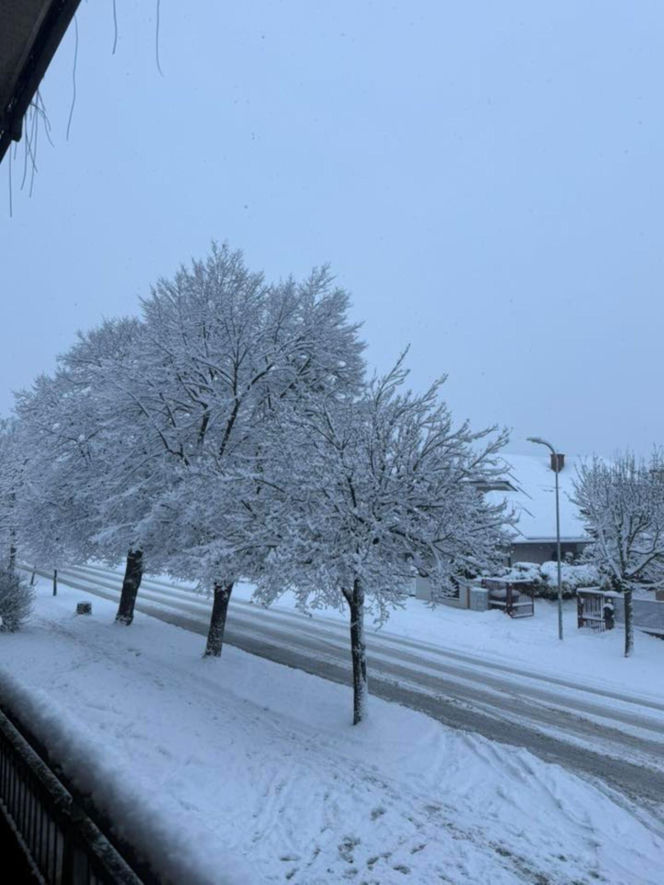 Śnieżna zima w Warszawie - zdjęcia czytelników