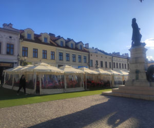 Ruszył sezon ogródkowy w Rzeszowie [GALERIA]
