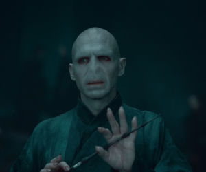 Ralph Fiennes w serii Harry Potter (2005-2011)