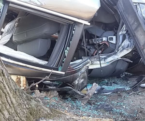 Kierowca BMW uderzył w drzewo w gminie Lubicz