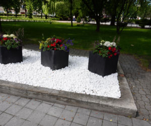 To miasto w woj. świętokrzyskim ma jeden z najpiękniejszych rynków. Czaruje też zabytkową kaplicą