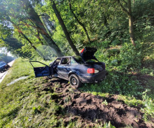 Kamieńczyk. Trzech ciężko rannych mężczyzn! Ich audi roztrzaskało się o drzewo na DK nr 62 [ZDJĘCIA]