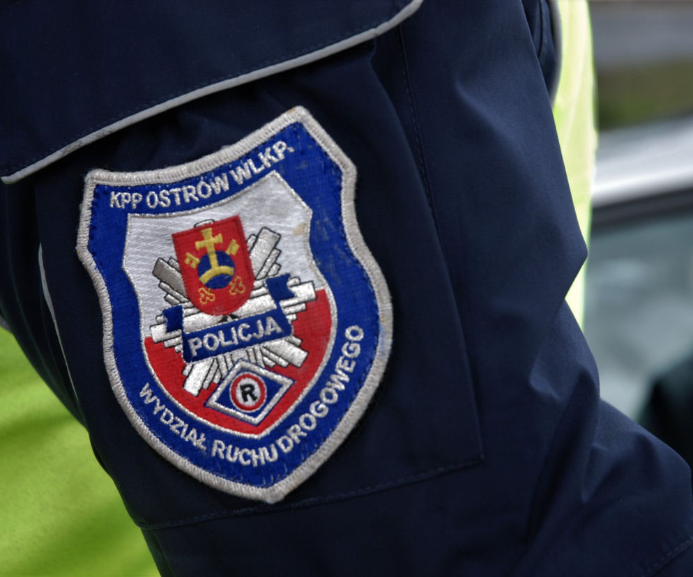 policja