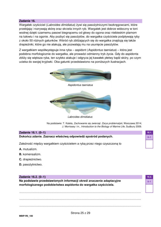 Matura 2023: biologia. Arkusze CKE i odpowiedzi [Formuła 2023]