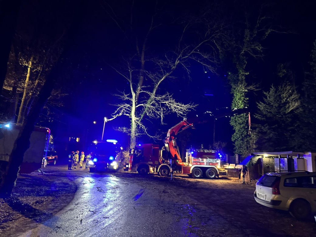 Gigantyczne drzewo runęło do dom jednorodzinny. Dramatyczna akcja ratunkowa w Warszawie