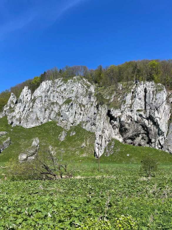 Ojcowski Park Narodowy zachwycił zagraniczne media. To prawdziwa oaza spokoju