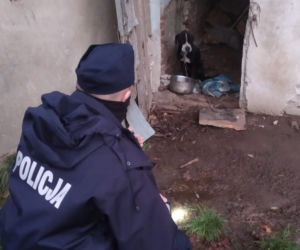 Nitka przeżyła HORROR