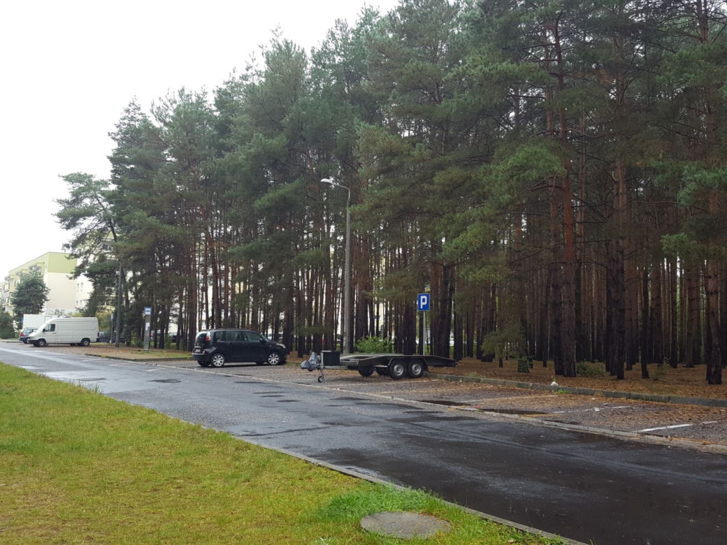 Miał być park, będzie wycinka? Miasto wystawiło na sprzedaż hektar lasu na Rejtana