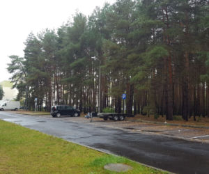 Miał być park, będzie wycinka? Miasto wystawiło na sprzedaż hektar lasu na Rejtana