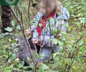 Szczęśliwy finał dramatycznych poszukiwań w Suchedniowie. 75-letnia grzybiarka odnaleziona po dwóch dobach w lesie