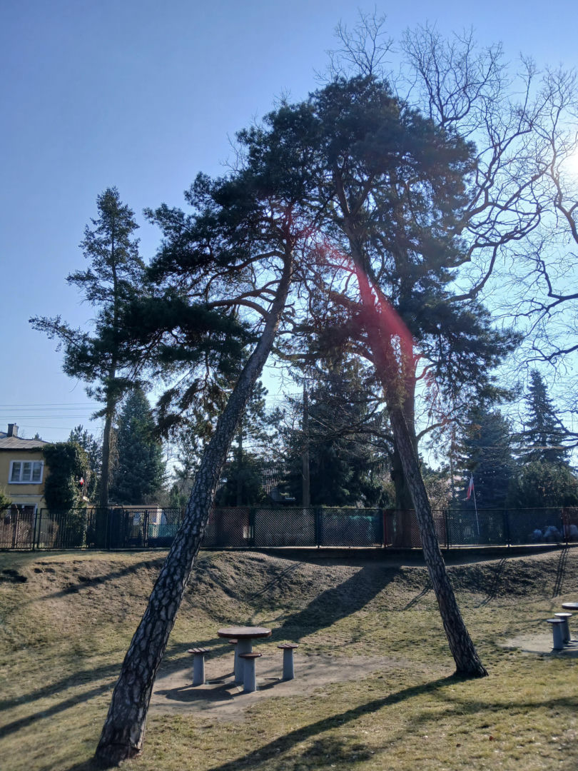 Park Zielony Dołek w Milanówku przed przebudową