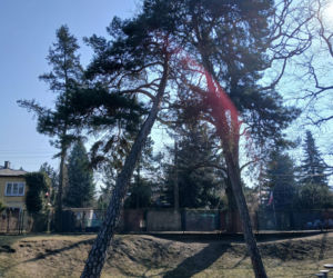 Park Zielony Dołek w Milanówku przed przebudową