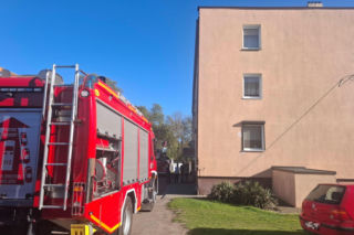 Pożar w bloku w Gryżynie. Pomogli sąsiad akwarysta i czujka dymu [ZDJĘCIA]