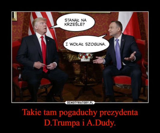 Trump w Polsce: MEMY