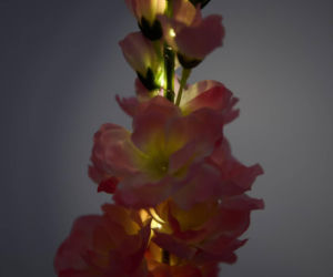 Te solarne kwiaty z Sinsay kosztują jedynie 19,99, a wyglądają, jak żywe! Stworzą niepowtarzalny klimat w ogrodzie i na balkonie