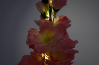 Te solarne kwiaty z Sinsay kosztują jedynie 19,99, a wyglądają, jak żywe! Stworzą niepowtarzalny klimat w ogrodzie i na balkonie