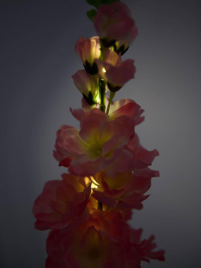 Te solarne kwiaty z Sinsay kosztują jedynie 19,99, a wyglądają, jak żywe! Stworzą niepowtarzalny klimat w ogrodzie i na balkonie