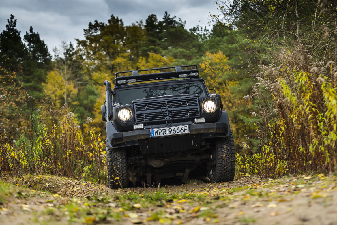 Mercedes-Benz Klasy G Edition Pur W461