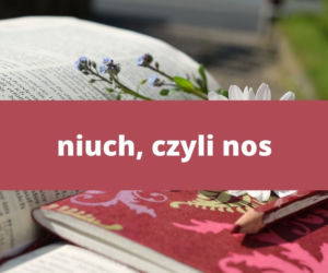 Te słowa tylko na Podkarpaciu! Znasz znaczenie tych słów? 