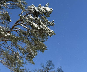 Sroga zima ponownie uderzyła na Pomorzu