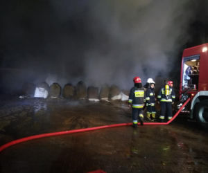 Pożar w zakładzie utylizacji odpadów pochodzenia zwierzęcego
