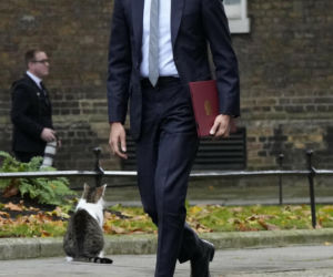 Oto Larry. Chief Mouser to the Gabinet Office