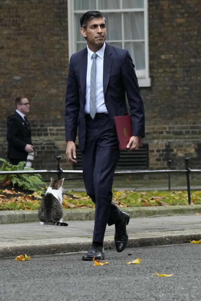 Oto Larry. Chief Mouser to the Gabinet Office