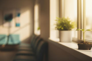 Schreiberowie przed kliniką leczenia niepłodności. Czy spełnią swoje marzenie o dziecku?