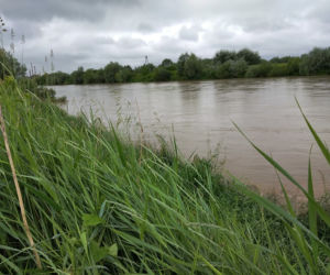 Wysoki Dunajec pod Tarnowem! Biała przy Azotach też przybiera