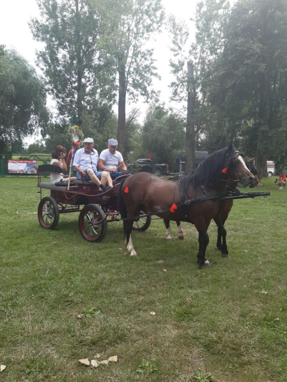 III Parada Karet w Krzyżanowicach Dolnych