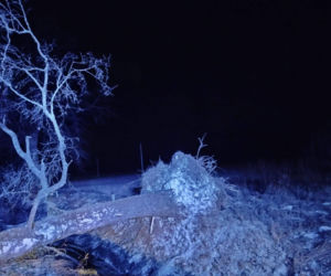 Wichura zniszczyła zabytkową kapliczkę przy sanktuarium