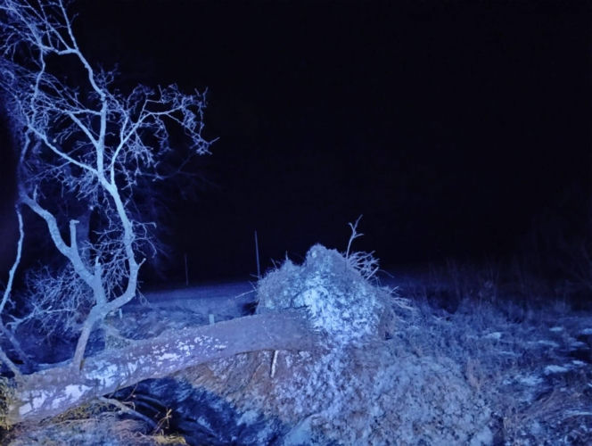 Wichura zniszczyła zabytkową kapliczkę przy sanktuarium