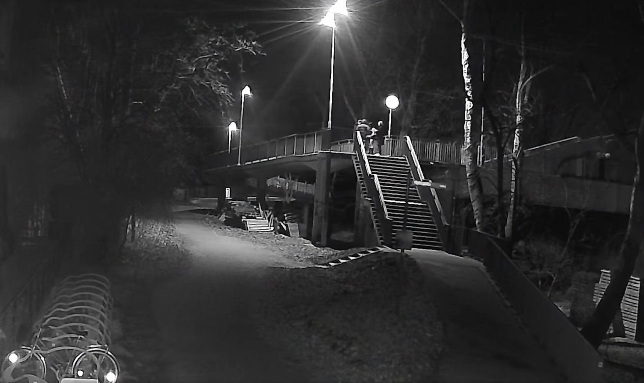 zoo wrocław