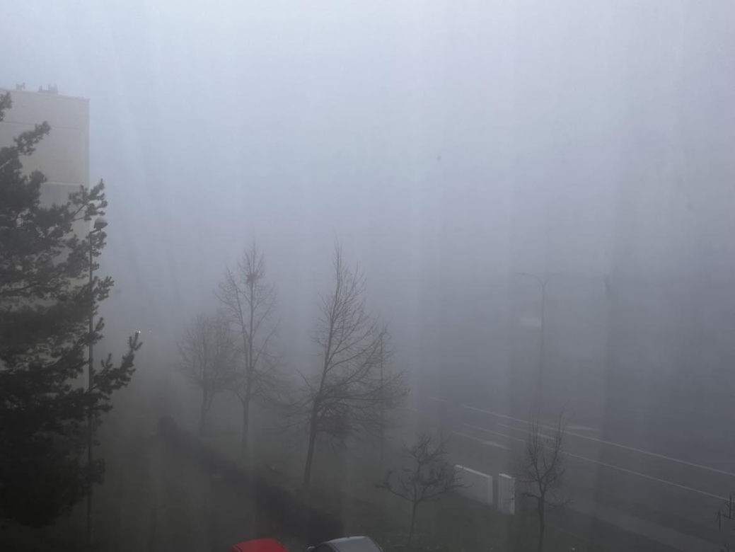 Gęsta mgła w Śląskiem