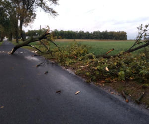 Fatalne skutki wichury w Bydgoszczy i okolicach! 