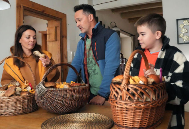 "Barwy szczęścia", odcinki 3322 - 3326