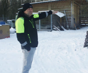 Wataha psów terroryzuje wieś. „Nie zaatakowały z głodu. To była napaść, by zabić”