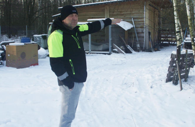 Wataha psów terroryzuje wieś. „Nie zaatakowały z głodu. To była napaść, by zabić”