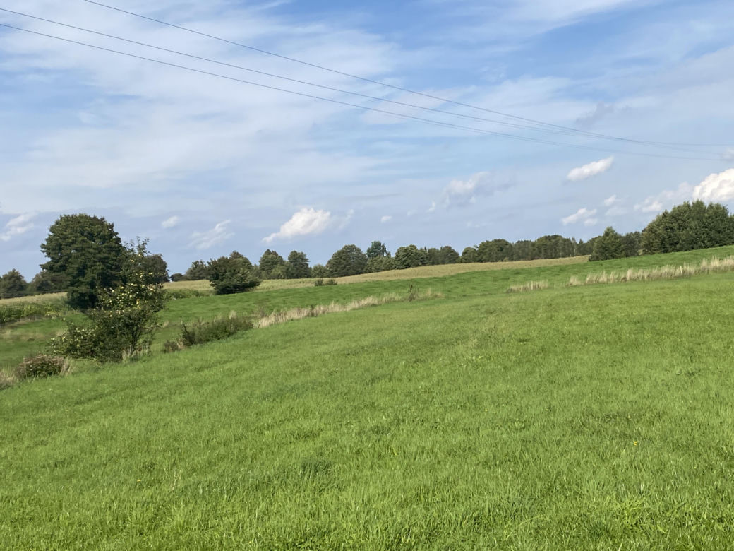 Bitwa o Polanę Ukciańską nad Krutynią