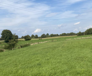 Bitwa o Polanę Ukciańską nad Krutynią