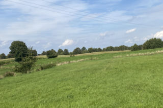 Bitwa o Polanę Ukciańską nad Krutynią