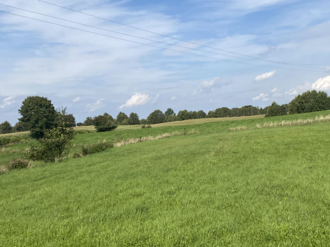 Bitwa o Polanę Ukciańską nad Krutynią