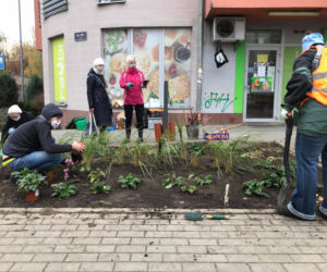 Nowy, zielony skwerek na Szyperskiej