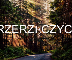 Rzerzęczcyce