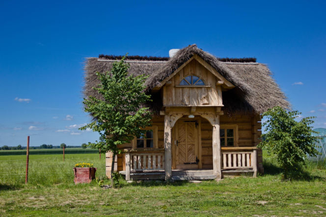 Dziekanowice w Wielkopolsce