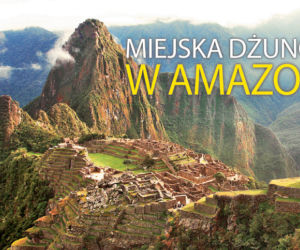 Miejska dżungla w Amazonii
