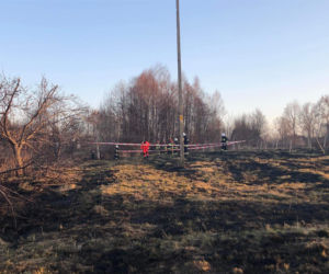 Zwęglone zwłoki mężczyzny w Zaczarniu. Zginął w trakcie wypalania traw