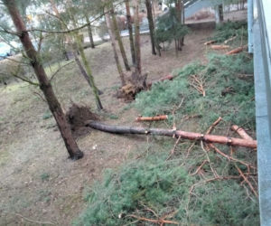 Wichura znów narobiła szkód w Lesznie i powiecie